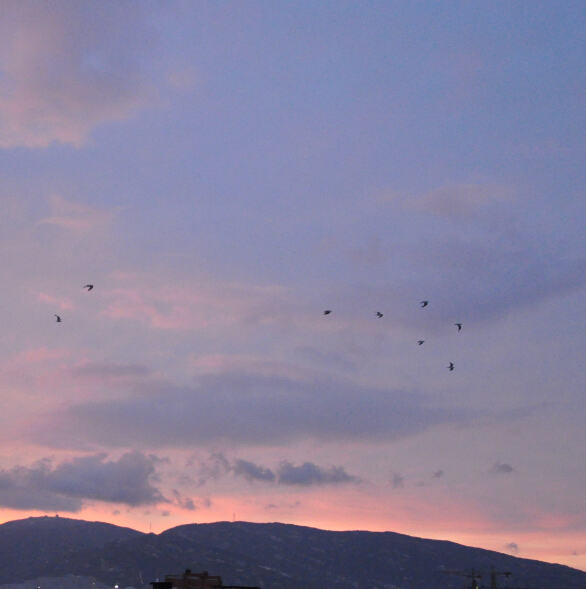 1xBET��Signup(�й�����)-�ٷ���վ