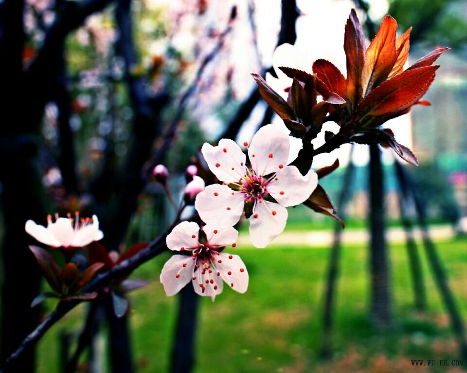 1xBET��Signup(�й�����)-�ٷ���վ