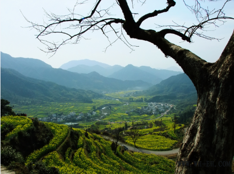 1xBET��Signup(�й�����)-�ٷ���վ