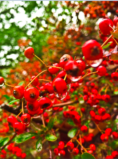 1xBET��Signup(�й�����)-�ٷ���վ