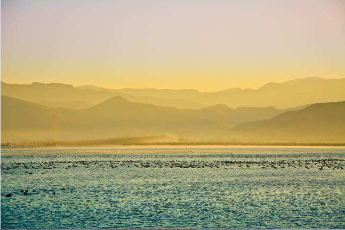 1xBET��Signup(�й�����)-�ٷ���վ