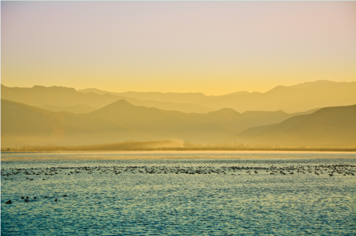 1xBET��Signup(�й�����)-�ٷ���վ