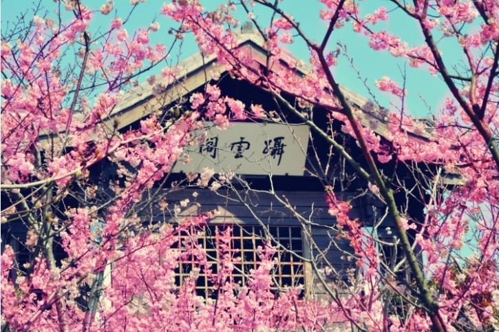 1xBET��Signup(�й�����)-�ٷ���վ