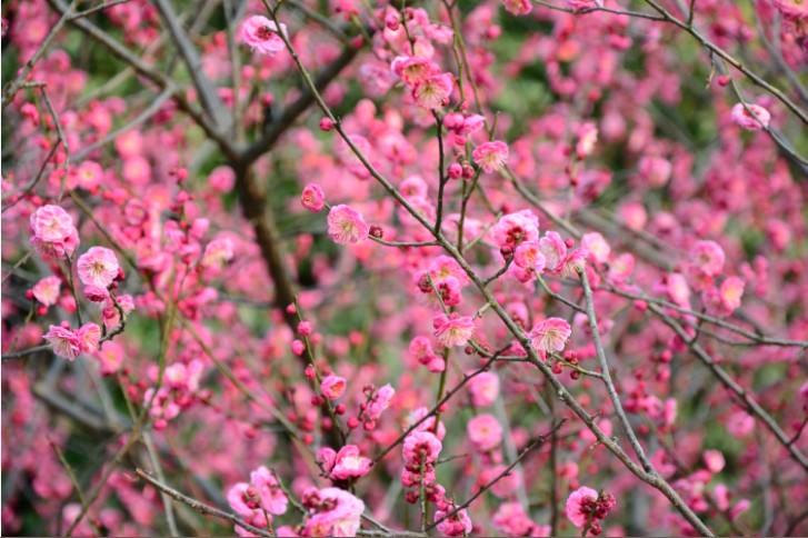 1xBET��Signup(�й�����)-�ٷ���վ