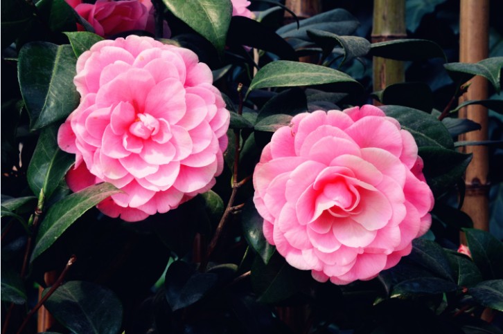 1xBET��Signup(�й�����)-�ٷ���վ