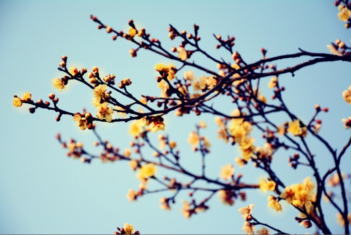 1xBET��Signup(�й�����)-�ٷ���վ