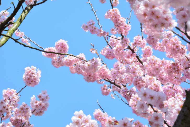 1xBET��Signup(�й�����)-�ٷ���վ